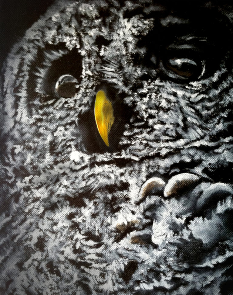 BARRED OWL